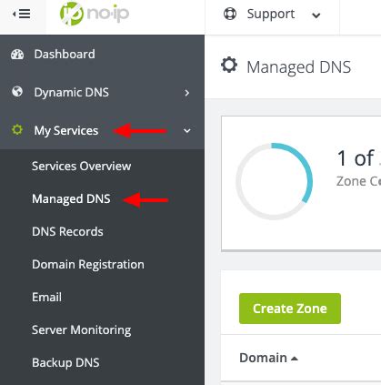 managed dns no ip.